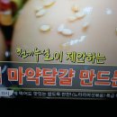 밥도둑 저염 마약달걀 레시피/달걀상식 이미지