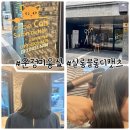 운정고등학교 | 파주 목동동 미용실, 살롱블롱디캣츠 웬디컷 클리닉
