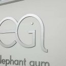 운동하는 코끼리 이미지