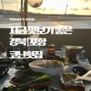 코난횟집
