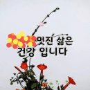 새봄이야 이미지