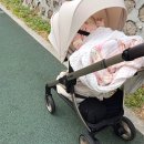 태그하우스 | ABC디자인 태그 절충형 유모차 내돈내산 후기 (베이비하우스 도봉점 유모차, 오토폴딩 절충형 유모차)