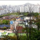 진호횟집