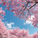 장자호수공원 광장 (정문) | 구리 장자호수 벚꽃마실 축제, 경기 주변 벚꽃 나들이 추천