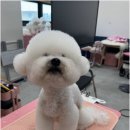 그루밍124