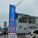 이조은농수산 | 제주중문갈치조림 이조은식당 서귀포 대흥호펜션 맛집