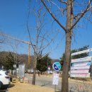 관문체육공원 농구장 이미지