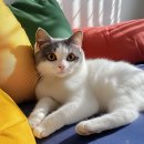 하나카동물병원 이미지