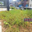 삼미시장 이미지