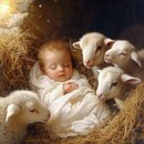 생명그리고빛 이미지