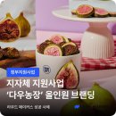 대안농장 | 메이커스]2025 영암군 청년농업인 스타트업 지원금 활용 사례 : 동결건조 브랜드 '다우농장' 올인원 브랜딩