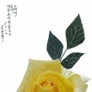 장미와 김목수 Daum카페