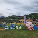 밀양 | 밀양 아이랑 야간 축제 나들이, 밀양야행 솔직 후기(ft. 국가유산야행)