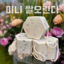 담안1 | 담안 견과류 정과 경조사 결혼 가성비 답례품 추천