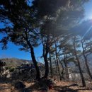 주택 앞 이미지