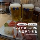 스시산삼전지점 | 오사카 우메다 현지인 스시맛집 하루코마 지점 내돈내산 후기