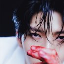 레오레오