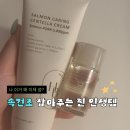 주식회사 펜타스헬스케어 | 내돈내산 수부지 수분크림 여름 추천 | 헤브블루 연어크림 솔직후기