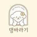 댕바라기 이미지