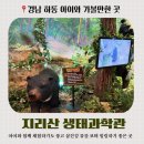 동면 생태친구들(오후) | [하동 아이와 가볼만한 곳] 섬진강 뷰가 예술인 하동 지리산 생태과학관 다녀왔어요 🐻🌿