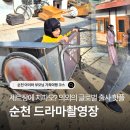 보훈농장 | 순천 드라마세트장 : 가족여행 당일치기 코스 촬영장 아이랑 부모님 추억 여행 (+ 주차, 할인, 애견동반)