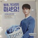 크린토피아코인워시평택덕동점 이미지