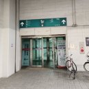 대전월드컵경기장 | 대전 월드컵경기장 수영장 자유수영 후기(월드컵스포츠센터)