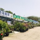 꽃단지농원 이미지