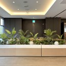삼청나무병원앤조경 | 힐튼 가든 인 강남, 극락조와 야자로 완성한 고급스러운 대형 이동식 플랜트 박스 연출후기