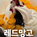 요거트아이스크림의정석신당점