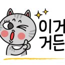 손단장 네일샵 네이버블로그