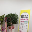 줌바댄스 | 대전 송촌동 댄스학원 엘러퀸스댄스아카데미 오픈! 송촌동 줌바·걸스라틴 리얼 후기