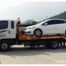 회원동010 | 경남전연령렌트카 창원마산전연령렌트카 즉시배송 내전용 붕붕이 최첨단 어부바카