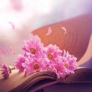 마음의 문 이미지