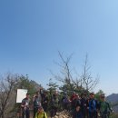 1096 | 1096)장태산 떡갈봉 (충남 대전) [기타 명산]