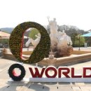 오월드 동물병원 이미지