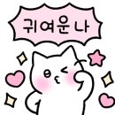 아비꼬 신사가로수길점 이미지