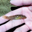 독립-16-05 이미지