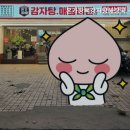 본가왕뼈감자탕 서초점 이미지