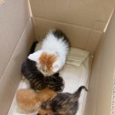 낙동북로 이미지