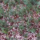 용토목장 이미지