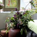 합계마을 이미지