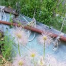 오리만찬 이미지