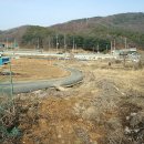 현암리(검배) Daum카페