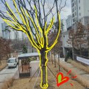 지센학원 이미지