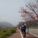 반월-1 이미지