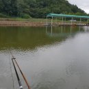 대평낚시터 이미지