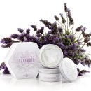 바디디자인(BODY DESIGN) 이미지