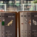 수원펫 동물병원 이미지