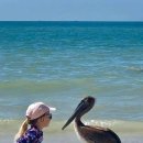 해피데이 이미지